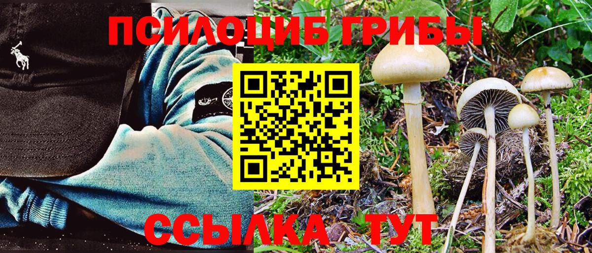 Псилоцибиновые грибы Magic Shrooms  где купить наркотик  Юрга  Вход с VPN 